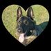 Marilyn Crabb - Facebook