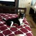 Marilyn Crabb - Facebook
