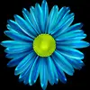 Marilyn B - @marilyn_b_crafts - TikTok