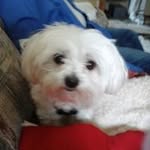 Marilyn Matson - @marilyncraftmatson - Instagram