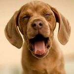 Marilyn Cramer - @merriwin_likes_to_laugh - Instagram