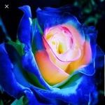 Marilyn Cuevas - @marilyn.cuevas.315 - Instagram