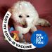 Marilyn D'Amico - Facebook