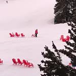 Marilyn Darrough - @marilyndarrough - Instagram