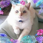 Marilyn Dattilo - @marilynrdattilo - Instagram