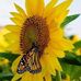 Marilyn Davison - Facebook
