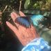 Marilyn Deyo - Facebook