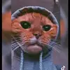 Marilyn.deyo - @marilyn.deyo - TikTok