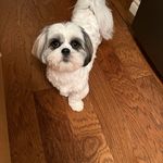 Marilyn Dowler - @marilyn.dowler - Instagram