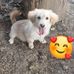 Marylin Dubon - Facebook