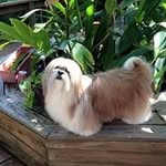 Marilyn Durst - @marilyndurst - Instagram