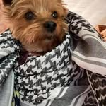 Marilyn Eanes - @marilyneanes78 - Instagram