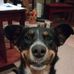 Marilyn Eckert - Facebook