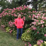 Marilyn Myers Erwin - @marilynmyerserwin - Instagram