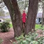 Marilyn Eversole Reynolds - @marilyn.e.reynolds.9 - Instagram