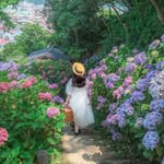 Marilyn F Nana - @marilyn.fabro.754 - Instagram