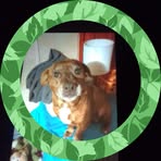 Marilyn Farmer - Facebook