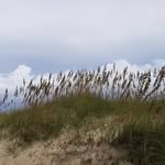 Marilyn Farmer - @gone.totheriver - Instagram