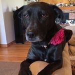 Marilyn Faust - @marilyn_faust - Instagram