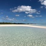 Marilyn Foley - @foleymlo - Instagram