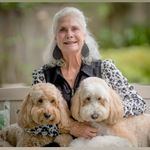 Marilyn Foley - @truly0951 - Instagram
