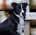 Marilyn Franks - Facebook