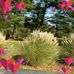 Marilyn Friedrich - Facebook