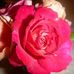 Marilyn Gabel - Facebook