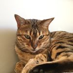 Marilyn Galbraith - @mazgal47 - Instagram
