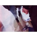 Marilyn Garrison - @marilyngarrison322 - Instagram