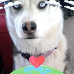 Marilyn King Garrison - @marilyn.garrison.9 - Instagram