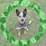 Marilyn Gause - @twh22055 - Instagram