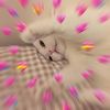 Marilyn.j - @marilyn.gerbera - TikTok