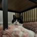 Salon de Toilettage Marilyn Gerber - Facebook