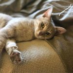 Marilyn Goodman - @bicyclingintherain - Instagram