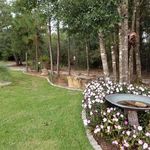 Marilyn Goolsby - @marilyn.goolsby.967 - Instagram