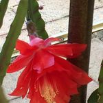 Marilyn Greenhalgh Colemon - @colemonmarilyn - Instagram
