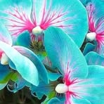 Marilyn Greening - Facebook