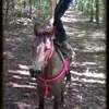 Marylynn Gresham - @30829859417 - TikTok