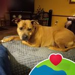 Marilyn Gribble - Facebook