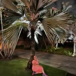 Marilyn Guffey - @marilynguffey - Instagram