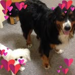 Marilyn Guffey - Facebook