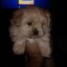 Marilyn Hackney - Facebook