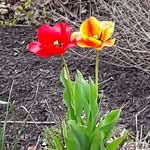 Marilyn Hale - @marilyn.hale.1675 - Instagram