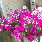 Marilyn Hale - @marilynhale150 - Instagram