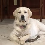 Marilyn Hale - @marilynhale446 - Instagram