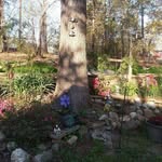 Marilyn Hardin Kruk - @krukmarilyn - Instagram