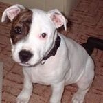 Marilyn Harper - @marilynharper9 - Instagram