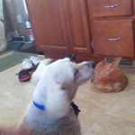 Bob N Marilyn Hatfield - @bobnmarilynhatfield - Instagram