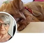 Marilyn Hatfield - Facebook